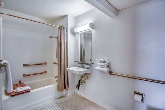 Deluxe Oda, 1 Çift Kişilik Yatak, Engellilere Uygun, Sigara İçilmez