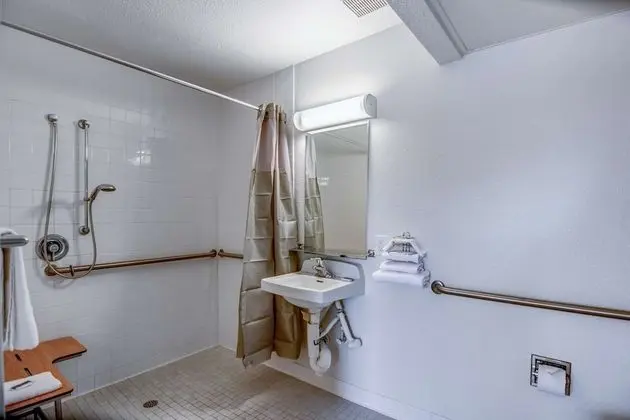 Deluxe Oda, 1 Çift Kişilik Yatak, Engellilere Uygun, Sigara İçilmez