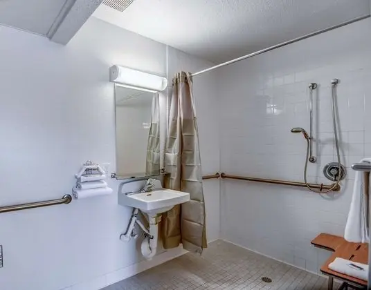 Deluxe Oda, 1 Çift Kişilik Yatak, Engellilere Uygun, Sigara İçilmez