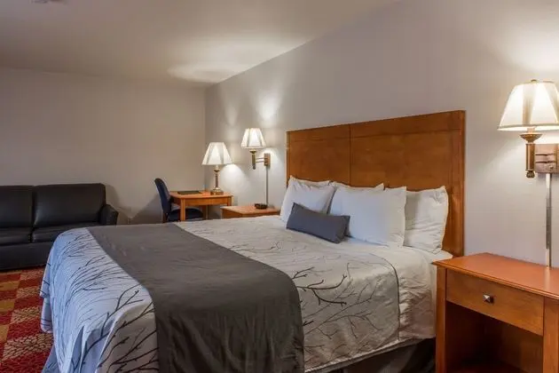 Deluxe Oda, 1 En Büyük (King) Boy Yatak, Sigara İçilmez, Buzdolabı ve Mikrodalga