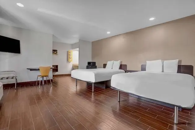 Deluxe Oda, 2 Büyük (Queen) Boy Yatak, Sigara İçilmez, Buzdolabı ve Mikrodalga