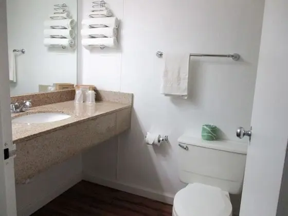 Deluxe Oda, 2 Çift Kişilik Yatak, Engellilere Uygun, Sigara İçilmez