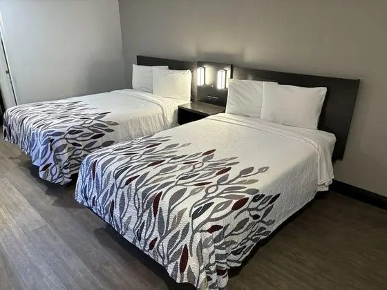 Deluxe Oda, 2 Çift Kişilik Yatak, Sigara İçilebilir