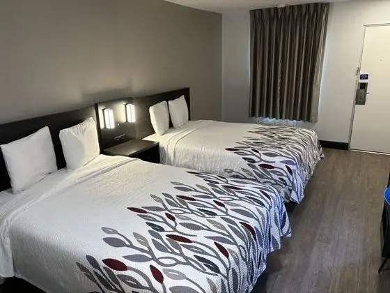 Deluxe Oda, 2 Çift Kişilik Yatak, Sigara İçilebilir