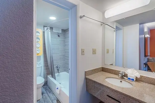Deluxe Oda, 1 Çift Kişilik Yatak, Sigara İçilmez, Buzdolabı ve Mikrodalga