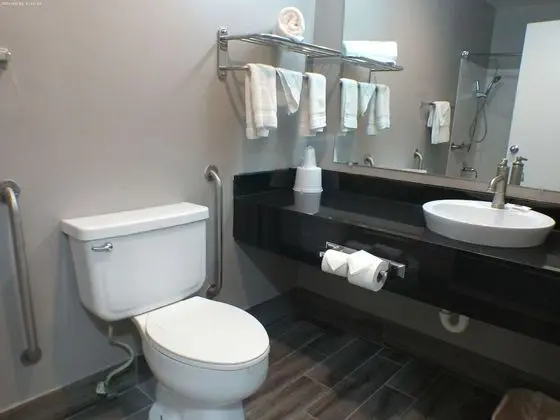 Standard Oda, 1 Büyük (Queen) Boy Yatak, Engellilere Uygun, Sigara İçilmez