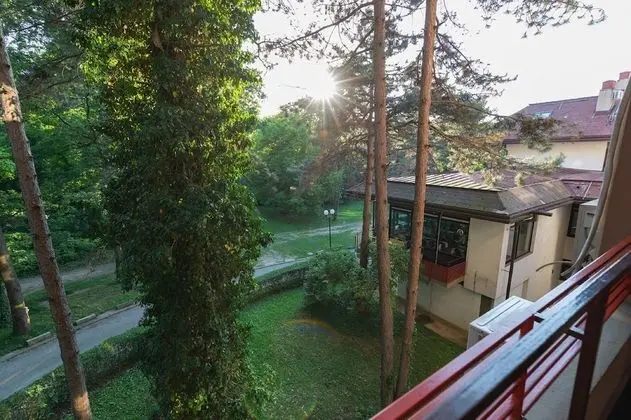 Standard Tek Büyük Yataklı Oda, 1 Çift Kişilik Yatak