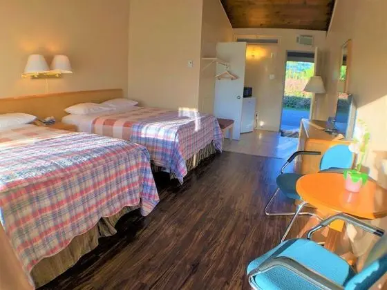 Standard Oda, 2 Çift Kişilik Yatak, Sigara İçilmez, Havuz Manzaralı