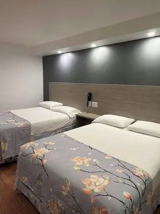 Deluxe Oda, 2 Çift Kişilik Yatak, Sigara İçilmez