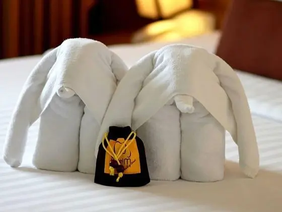 Superior Tek Büyük veya İki Ayrı Yataklı Oda