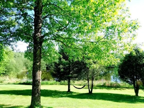 Oda, 1 Büyük (Queen) Boy Yatak, Göl Manzaralı (Adults Only)