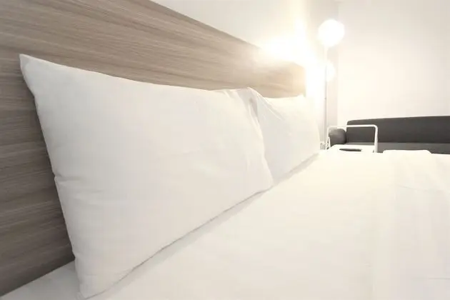 Deluxe Tek Büyük veya İki Ayrı Yataklı Oda, Sigara İçilmez