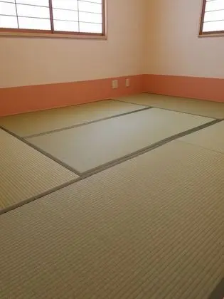 Ev