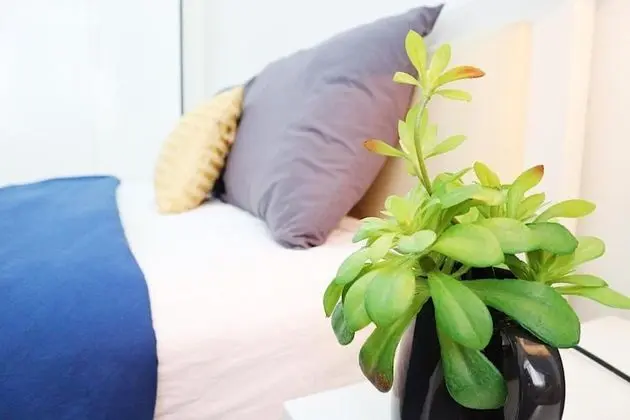 Apart Daire, 1 Yatak Odası, Balkon