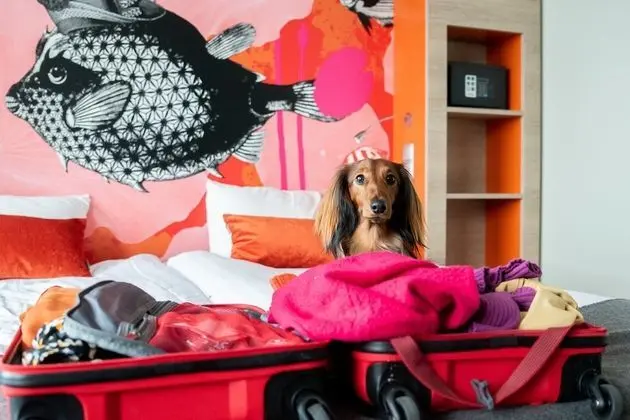 Stylish Twin Room