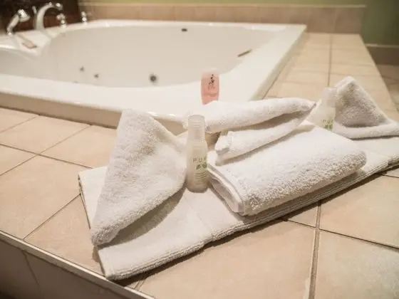 Deluxe Oda, 1 Büyük (Queen) Boy Yatak, Sigara İçilmez, Sıcak Su Havuzu