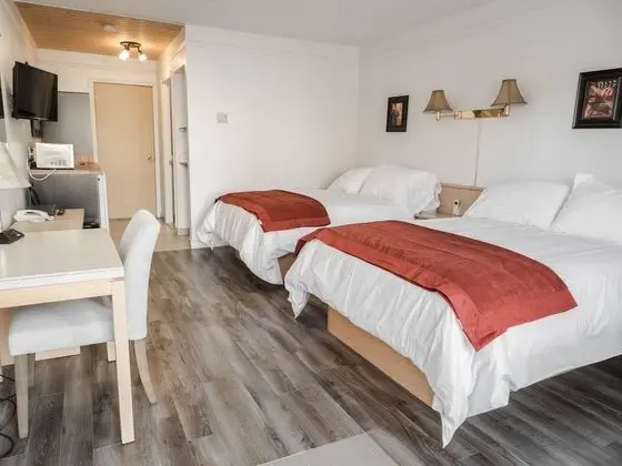 Standard Tek Büyük Yataklı Oda, 2 Çift Kişilik Yatak, Sigara İçilmez