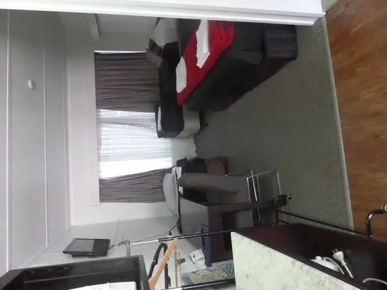 Standard Süit, 1 Yatak Odası, Sigara İçilmez, Küçük Mutfak (Large Room)