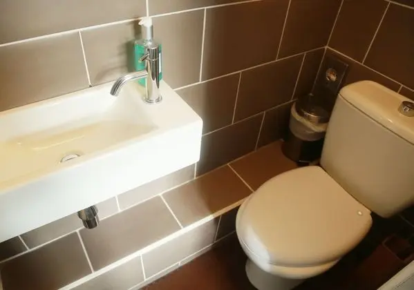 Standard Tek Büyük Yataklı Oda, 1 Çift Kişilik Yatak, Banyolu/Duşlu