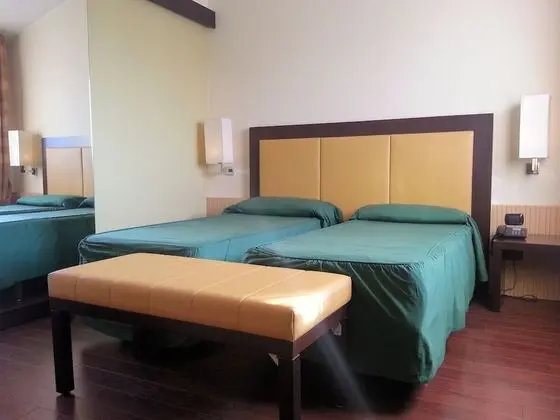 Standard Oda, 1 Büyük (Queen) Boy Yatak, Sigara İçilmez (Converts to 2 Twin Beds)