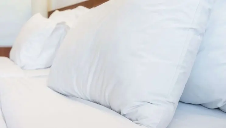 Deluxe Oda, 1 En Büyük (King) Boy Yatak, Sigara İçilmez, Buzdolabı ve Mikrodalga