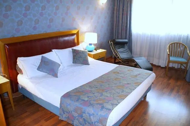 Deluxe Tek Büyük Yataklı Oda, 1 Büyük (Queen) Boy Yatak