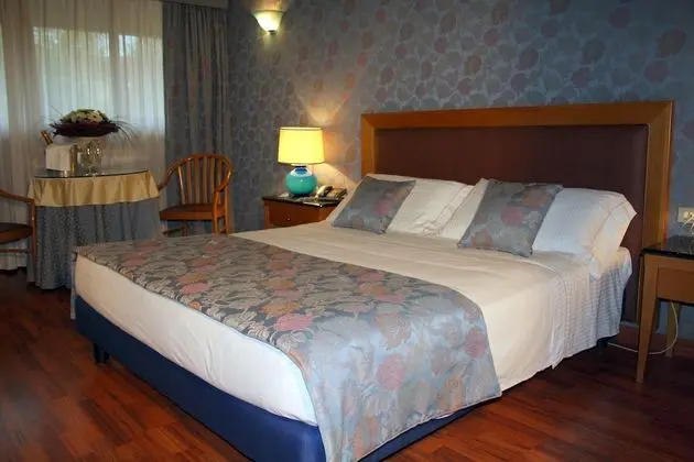 Deluxe Tek Büyük Yataklı Oda, 1 Büyük (Queen) Boy Yatak