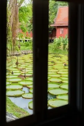 Villa, Havuz Kenarı
