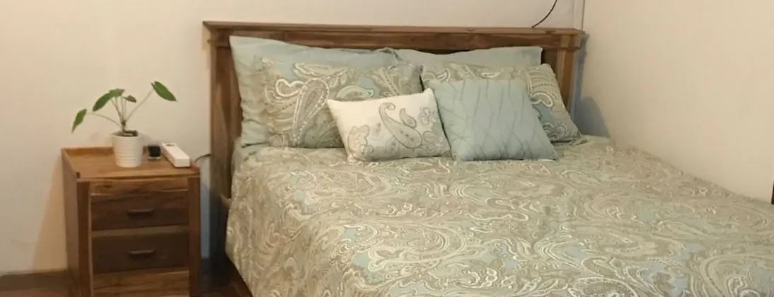 Deluxe Tek Büyük Yataklı Oda, 1 Büyük (Queen) Boy Yatak