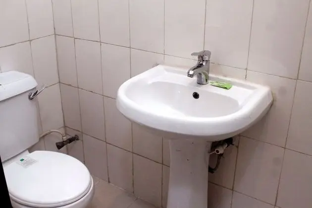 Süit