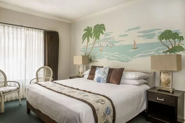 Superior Tek Büyük Yataklı Oda, Banyolu/Duşlu, Avlu Manzaralı (Courtyard King)