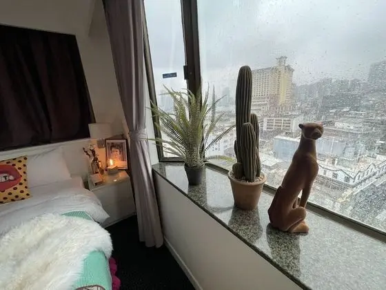 Süit