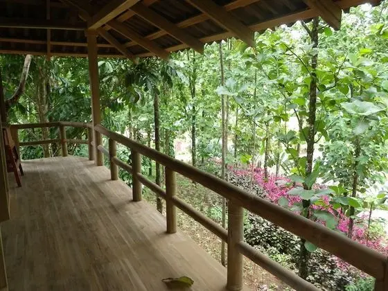 Bungalov