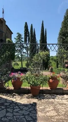 Comfort Tek Büyük Yataklı Oda, Banyolu/Duşlu, Bahçe Manzaralı