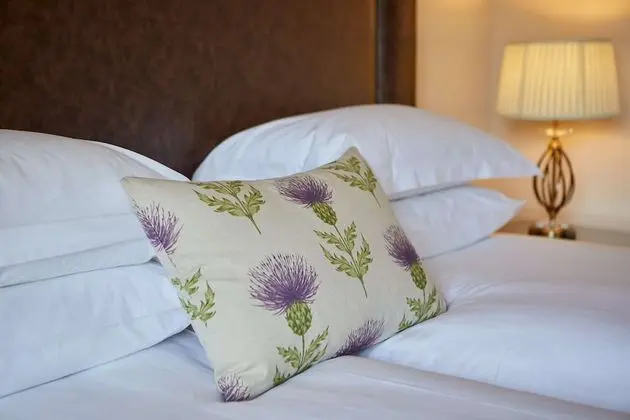 Standard Oda, 1 Çift Kişilik Yatak, Engellilere Uygun (Accesible Room)
