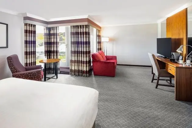 Junior Süit, 1 En Büyük (King) Boy Yatak