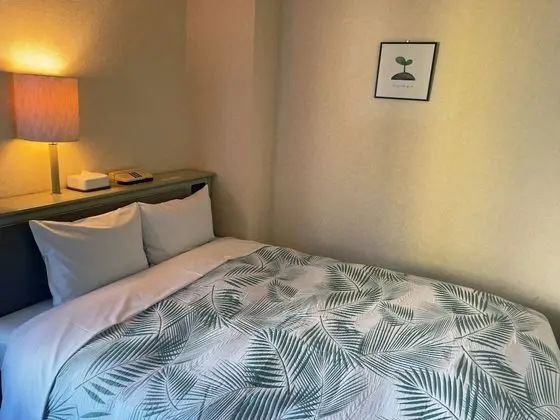 Tek Büyük Yataklı Oda, Sigara İçilebilir (Double A 17.76㎡)