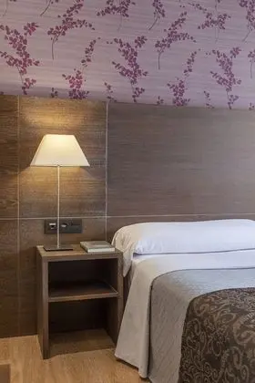 Tek Büyük Yataklı Oda (with extra bed 2 Adults + 1 Child)