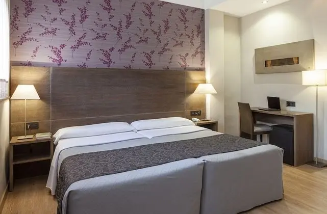 Tek Büyük Yataklı Oda (with extra bed 2 Adults + 1 Child)