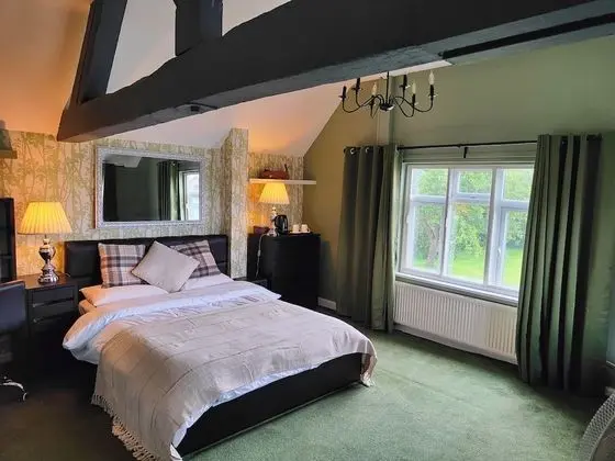 Tek Büyük Yataklı Oda, Banyolu/Duşlu (Emerald)