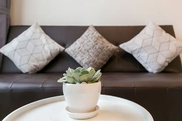 Comfort Stüdyo Süit, 1 Büyük (Queen) Boy Yatak, Havuz Kullanımı, Şehir Manzaralı