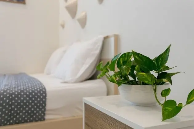 Comfort Stüdyo Süit, 1 Büyük (Queen) Boy Yatak, Havuz Kullanımı, Şehir Manzaralı