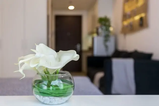 Comfort Stüdyo Süit, 1 Büyük (Queen) Boy Yatak, Havuz Kullanımı, Şehir Manzaralı