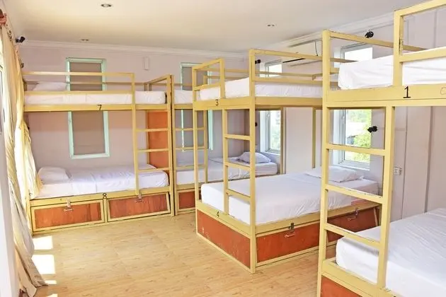 8-Bed Dormitory Poolside