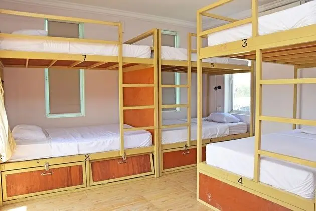 8-Bed Dormitory Poolside