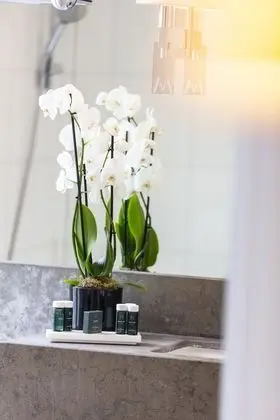 Family Oda, 2 Yatak Odası, Bağlantılı Odalar