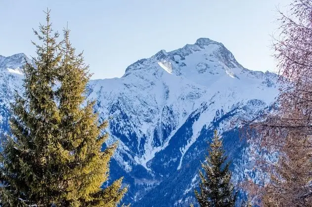 Chambre Grand Nord - 3 personnes