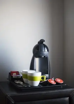 Basic Tek Büyük Yataklı Oda, 1 Çift Kişilik Yatak