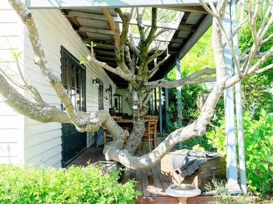 Romantic Tek Büyük Yataklı Oda, Sigara İçilmez, Balkon (Queen w/ private Bath (3))