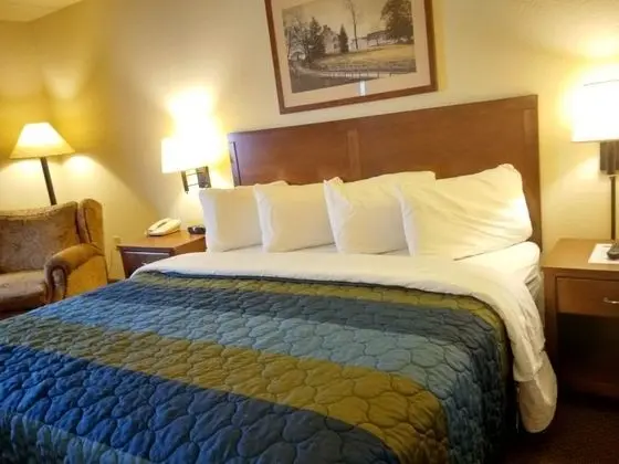 Business Oda, 1 En Büyük (King) Boy Yatak